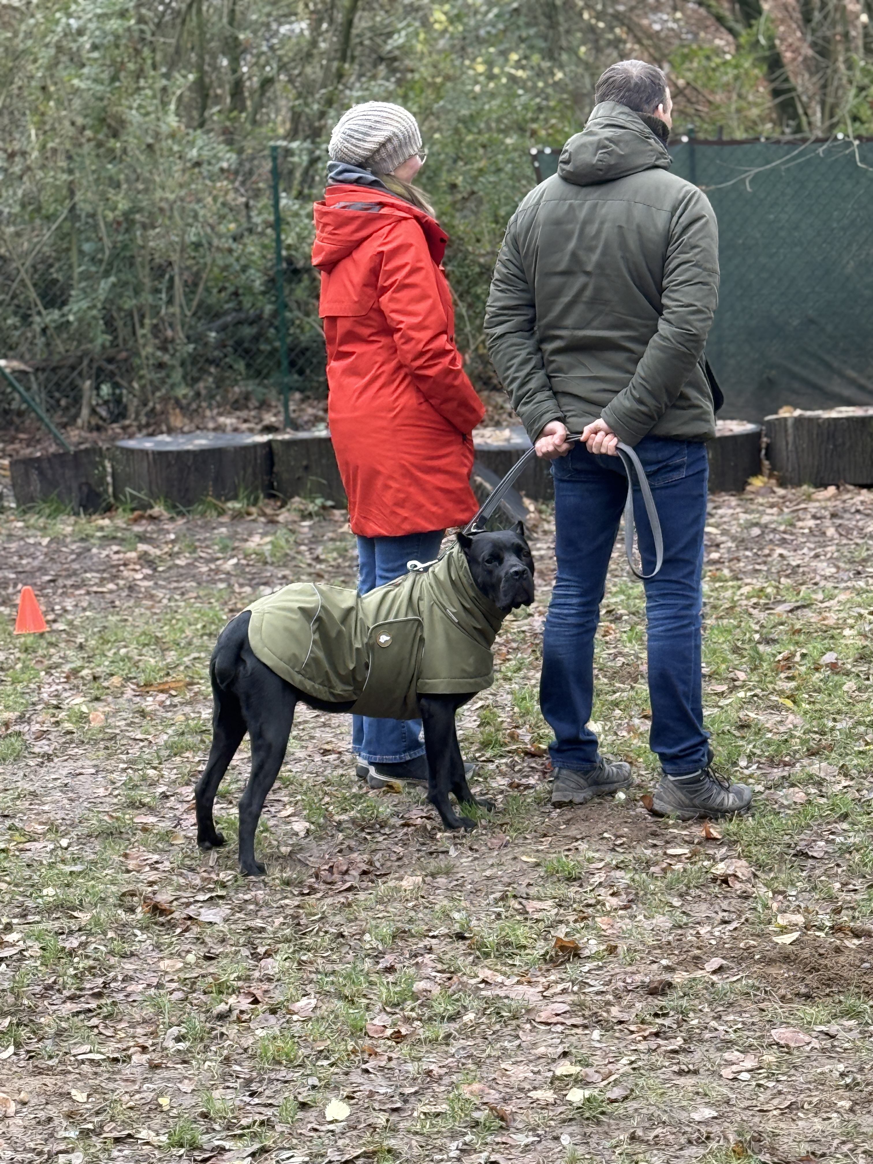 Hundeberatung beim Outdoor-Termin